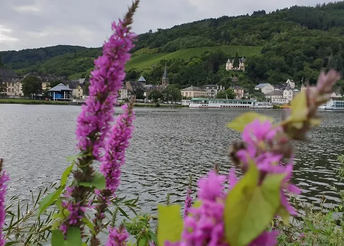 Haus Elke * Blankenrath